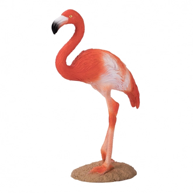 Mojo Amerikansk flamingo