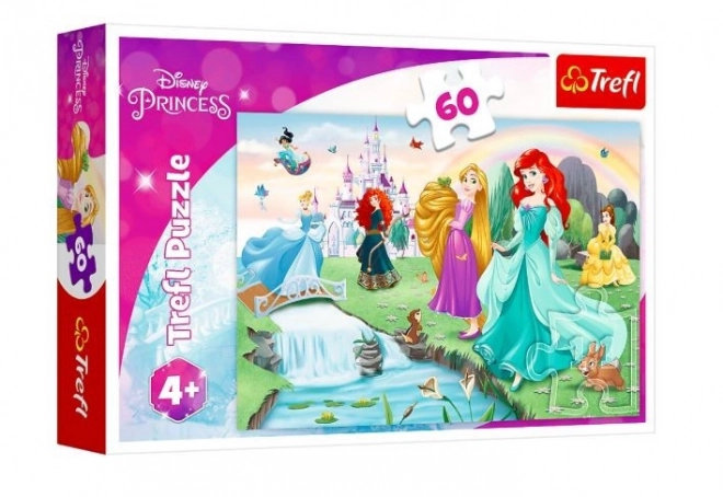 Puslespil 60 brikker Lær prinsesserne at kende DISNEY PRINCESS Trefl