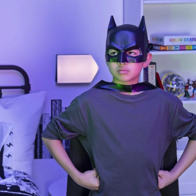 Masker superhelte DC