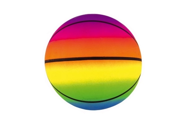 Basketbold gummi oppustet 20 cm i net