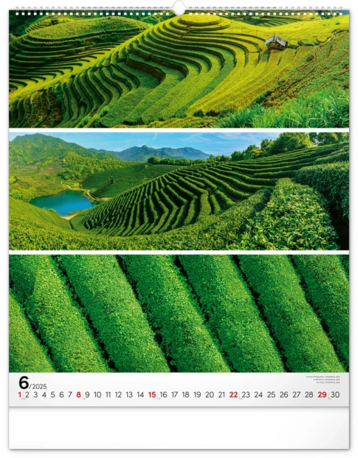 NOTIQUE Vægkalender Palet 2025, 48 x 56 cm