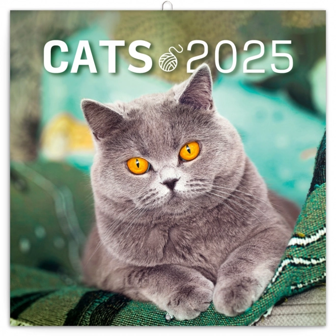 Notatskalender Katte 2025, 30 × 30 cm