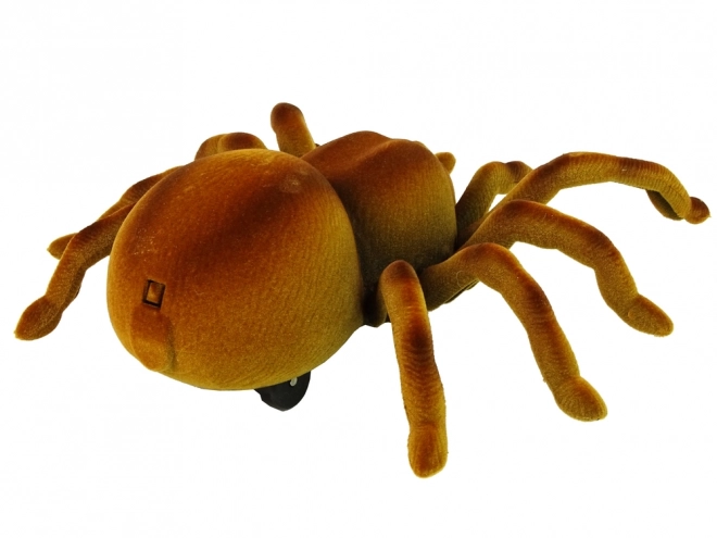 Fjernstyret edderkop Tarantula Infrarød Brun R/C
