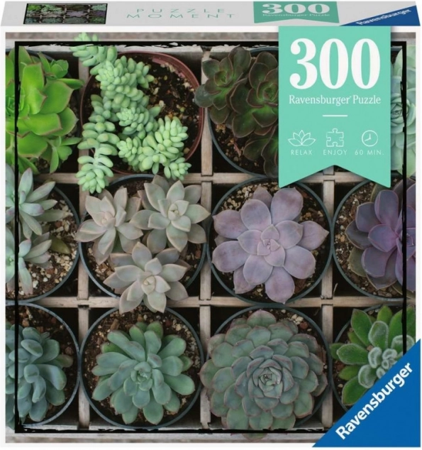 Ravensburger Puzzle Moments – botaniske motiver 300 brikker