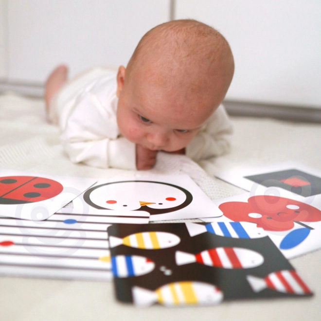 Montessori XXL uddannelsesboks 7i1 TOOKY TOY
