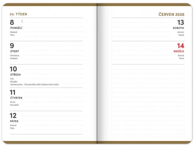 Studenterkalender Academia sort 2025-2026
