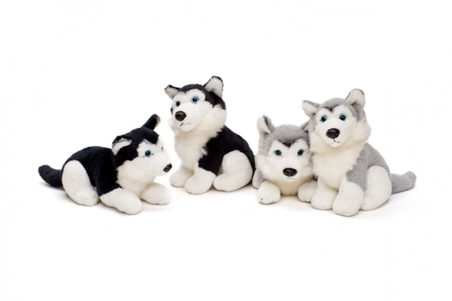 Plys husky 15 cm
