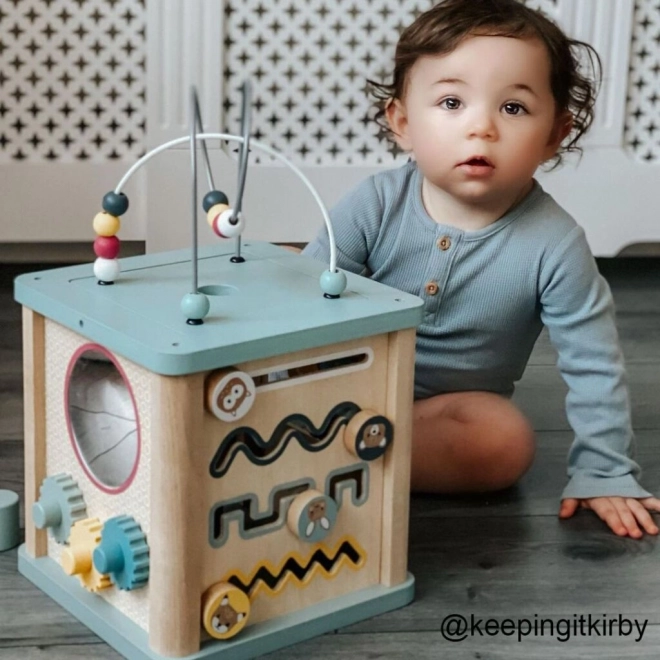 Bigjigs Baby Motorik aktivitets terning