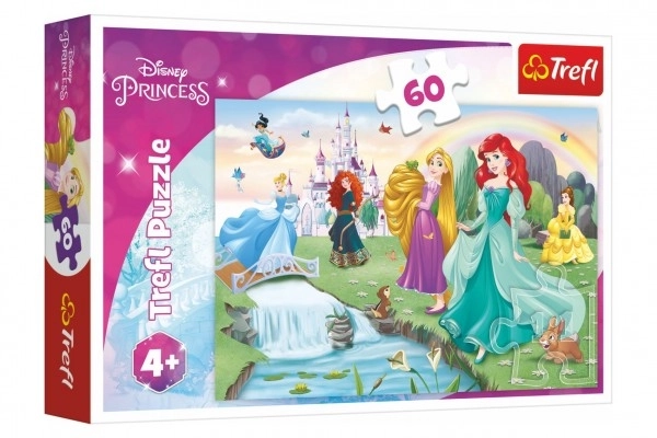 Puslespil Lær prinsesserne at kende 33x22cm 60 brikker i æske 21x14x4cm
