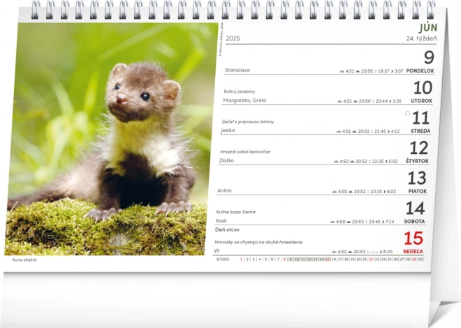 NOTIQUE Jagdkalender 2025, 23,1 x 14,5 cm