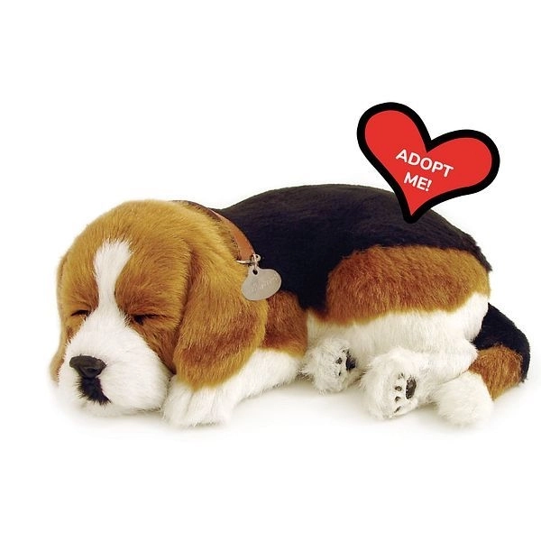 Åndende Beagle Hvalp Perfect Petzzz