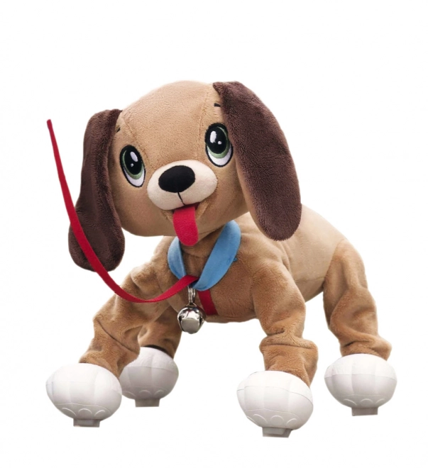 Hunden Floppy