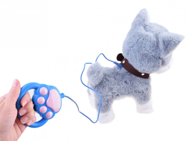 Interaktiv Huskyhund på snor