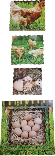 Pædagogisk værktøj