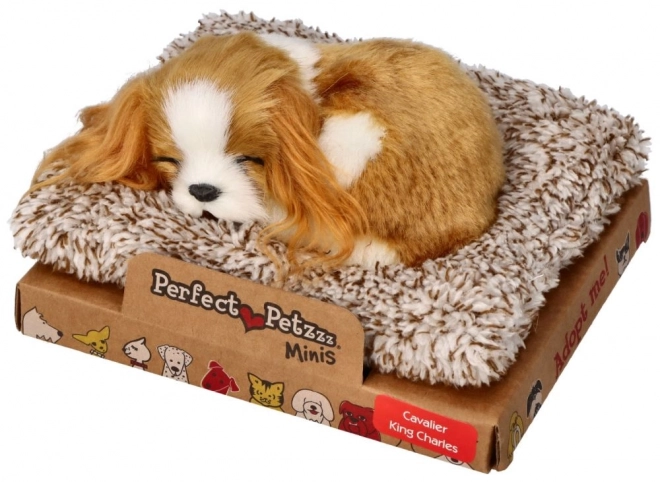 Sovende hvalp Cavalier King Charles Perfect Petzzz