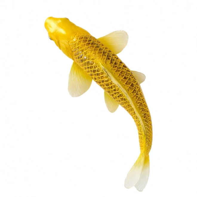 Mojo karpe koi Matsuba