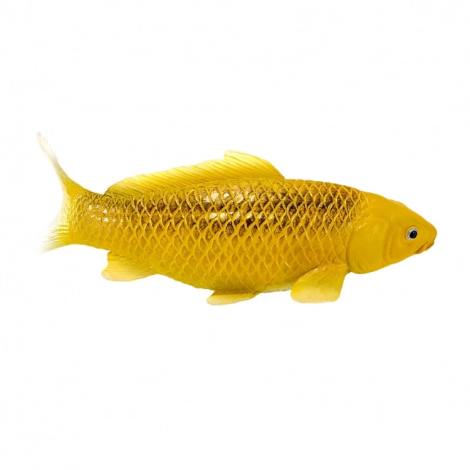 Mojo karpe koi Matsuba