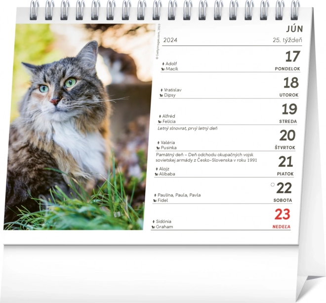 Bordkalender Katte – med kattenavne 2024, 16,5 × 13 cm