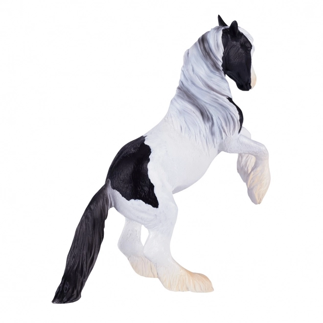 Mojo Hingst Gypsy Vanner