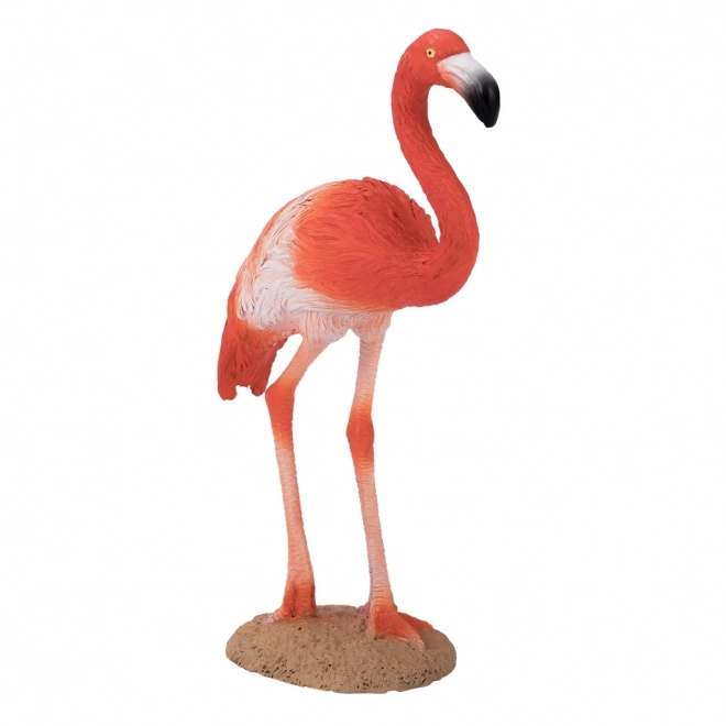 Mojo Amerikansk flamingo