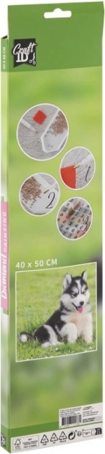 GRAFIX Diamantmaleri Husky 40x50 cm
