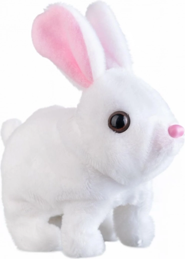 Hopper, bevæger ørerne og taler