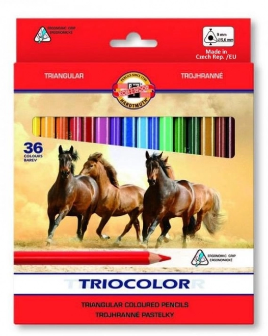 KOH-I-NOOR Trekantede farveblyanter Triocolor 3145 - 36 stk.
