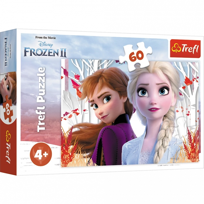 Puslespil 60 brikker Den magiske verden af Anna og Elsa