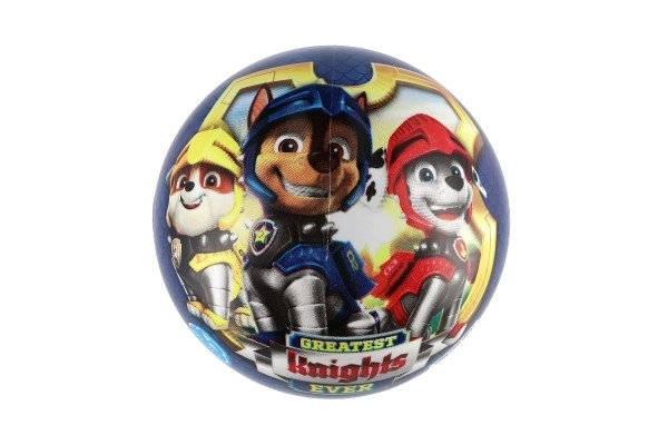 Blåt Paw Patrol bold