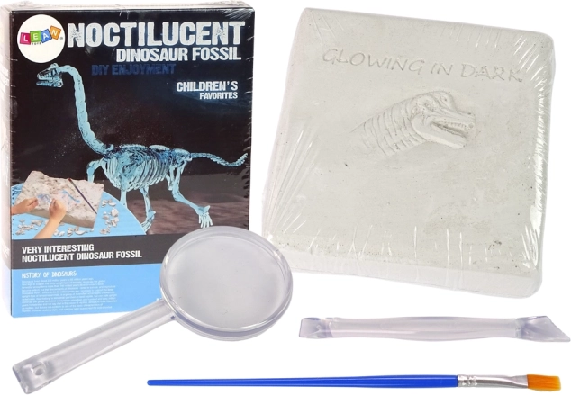 Arkæologisæt udgravning dinosaur 3D skelet Brachiosaurus