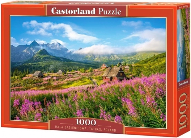 Puslespil 1000 brikker Hala Gąsienicowa, Tatra, Polen