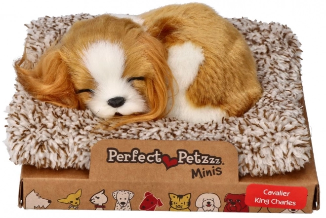 Sovende hvalp Cavalier King Charles Perfect Petzzz