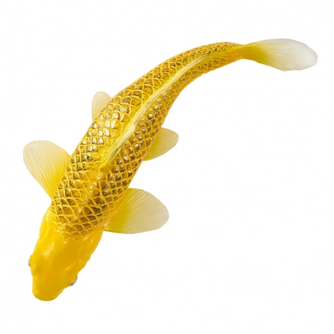 Mojo karpe koi Matsuba