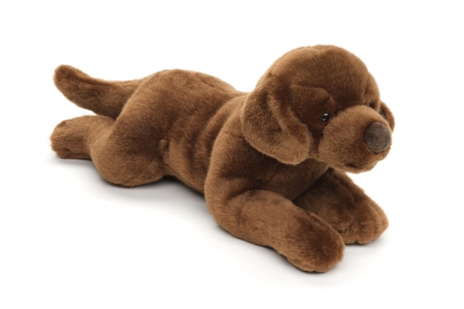 Plys labrador 40 cm MILJØVENLIG