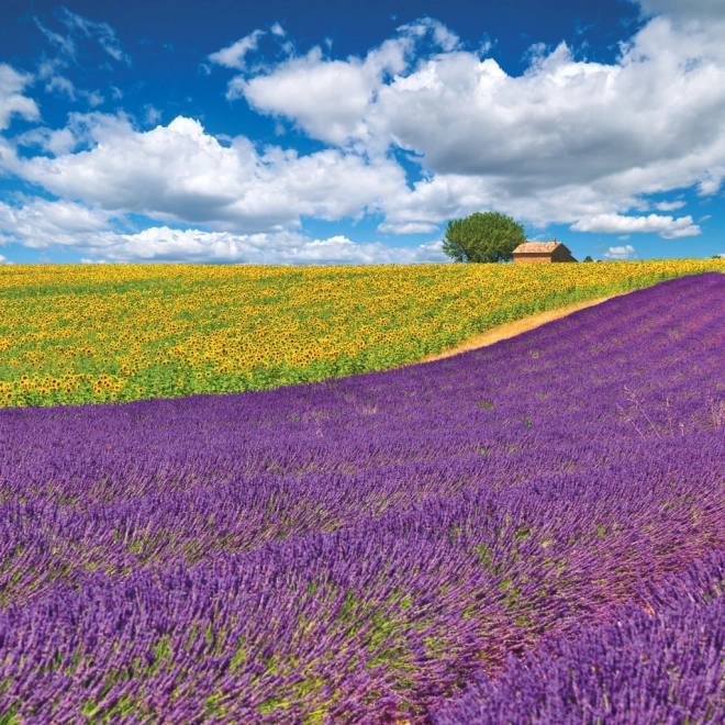 Note kalender Provence 2026