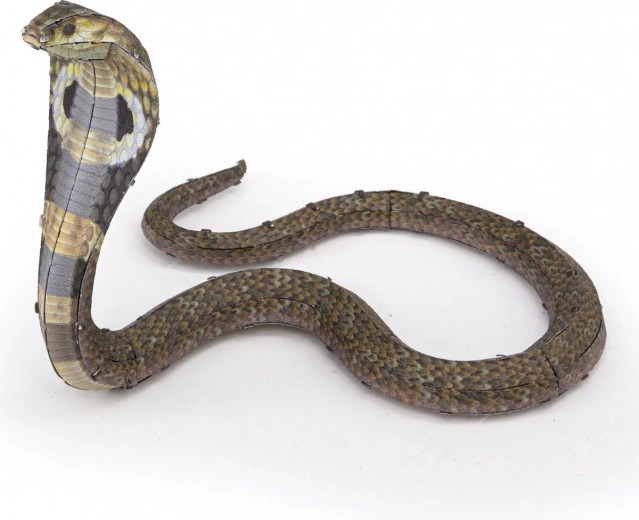 Fleksibel, imponerende kobra-positur