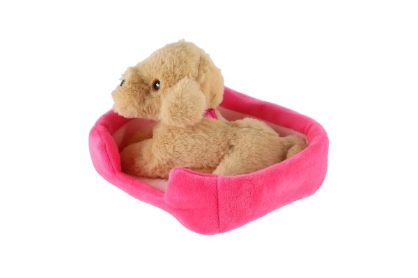 Lille hund i rede plys 4 farver 22x24cm 24m+