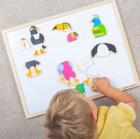 Træmagnetter Fuglevenner BIGJIGS TOYS