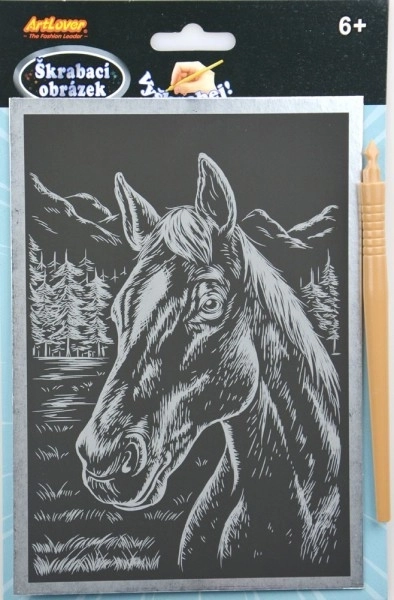 Skrabe billede sølv 14x22cm