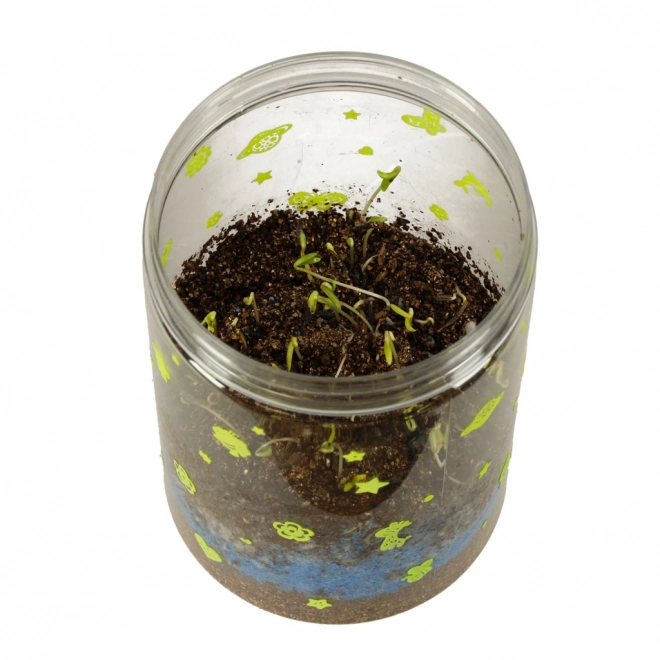 Terrarium til plantning med LED-lampe og dinosaurer