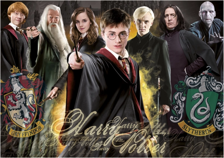 Puslespil Harry Potter 1000 brikker med lim EDUCA