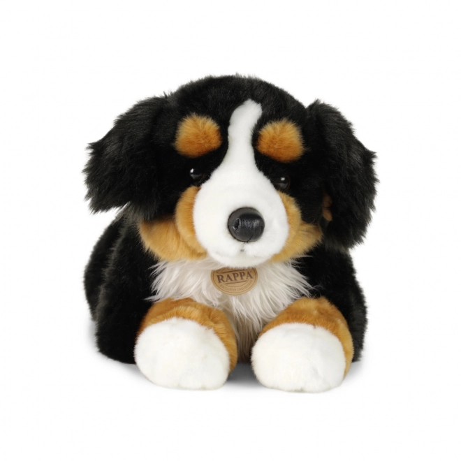 Stor liggende Bernersennen plysbamse 61 cm