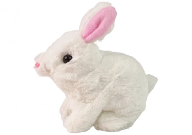 Interaktiv kanin Bunny Rabbit Hvid Gulerod Skål Maskot