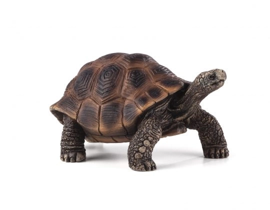 Mojo kæmpeskildpadde