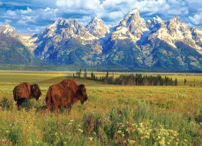 Puslespil smukke Nationalpark Grand Teton 1000 brikker