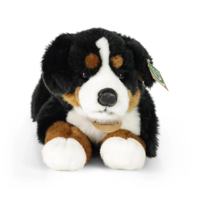 Plys bernersennenhund liggende 44 cm ECO-FRIENDLY