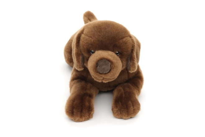Plys labrador 40 cm MILJØVENLIG