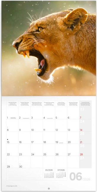 Notatkalender Vilde dyr 2026