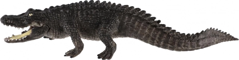 Ideel til læring og samlere