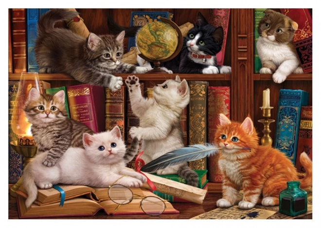 Puslespil Katte i biblioteket 500 brikker
